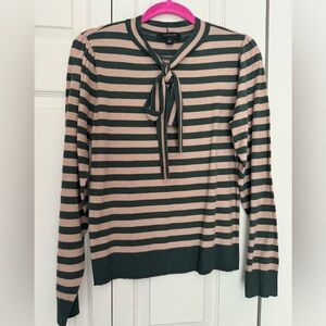 Ultra soft Ann Taylor Sweater
